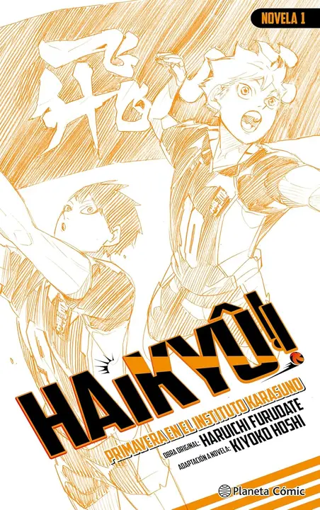 Novela Ligera Haikyuu Tomo 01