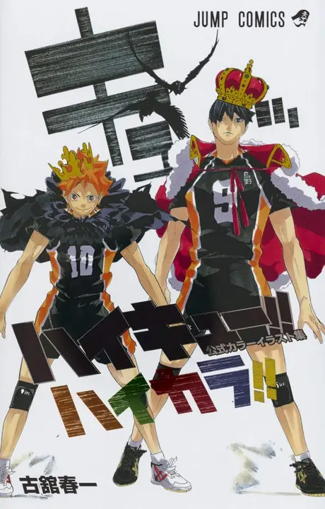 Artbook Oficial Haikyuu Color Illustrations