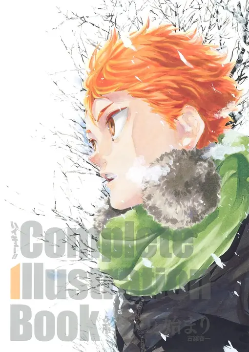 Artbook Haikyuu Complete Illustration Book (Japonés)